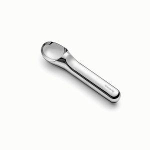 Ice Cream Scoop